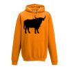 College hoodie Thumbnail